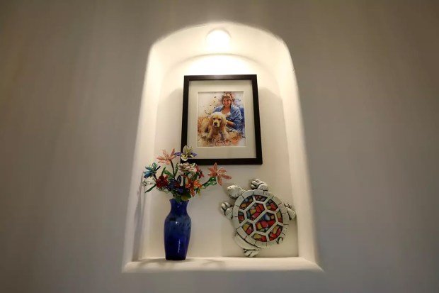 Bir annenin kaybı antibiyotik direnciyle mücadele için küresel bir çaba başlattı 3 A shrine to Mallory Smith. She fought a drug-resistant bacteria from age 12 to 25, all through high school, then at Stanford. (Genaro Molina/Los Angeles Times/TNS)