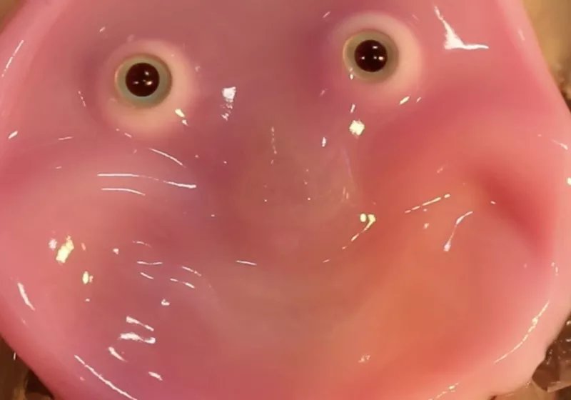 bilim insanlari bir robotun gulumseyen yuzune biyolojik deri yerlestirmenin yolunu buldular rT9hHq4z