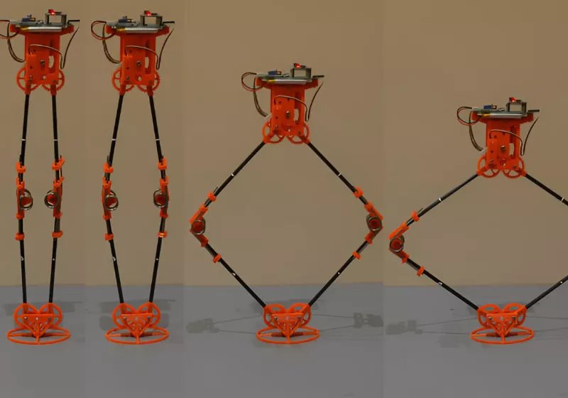 bu robot digerlerinden daha yuksege ziplayabiliyor ve bir gun gezegenleri kesfetmek icin kullanilabilir WKbhc2Be