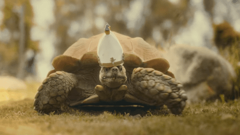 elden ring shadow of the erdtree canli aksiyon fragmani oyunculari geri davet ediyor jSbYQAGh