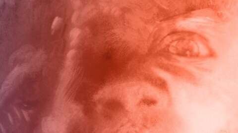 gorunuse gore nightdive studios the thing remasteri tanitti tuQRym1p