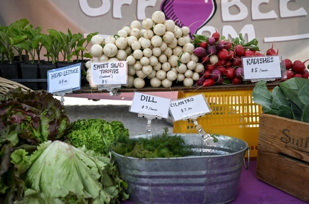 Off Beet Farm's produce is displayed during the Boulder Farmers Market in Boulder on Wednesday, May 29, 2024. (Photo by AAron Ontiveroz/The Denver Post)