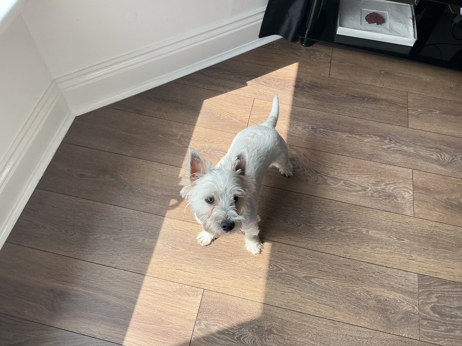 yeni bir ipade yukseltme 2024 ipad air ile eski ipad prom karsilastirmasi 7 CLOuHh2T