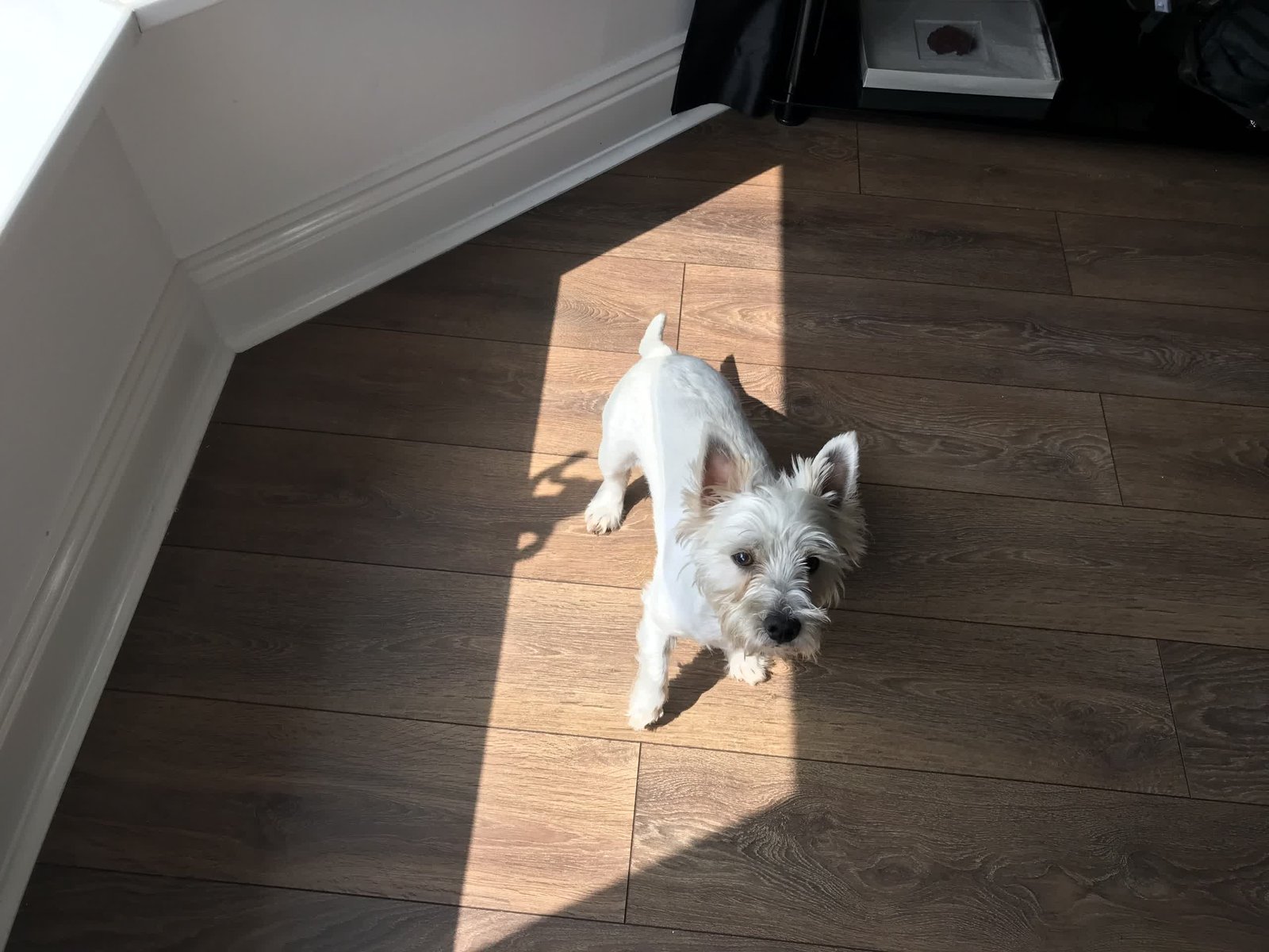 yeni bir ipade yukseltme 2024 ipad air ile eski ipad prom karsilastirmasi 8 6HiPQwEI