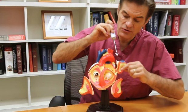 dr ozdan kalp kapakciklarina kucuk bir cihaz fdada tartismali bir yol cizdi 0 7eV7zyv2