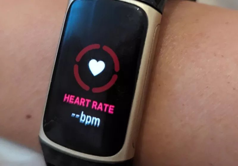 Google, web uygulaması arayüzünü kaldırarak Fitbit'i kullanıcılar için "mahvetmeye" devam ediyor 11 google web uygulamasi arayuzunu kaldirarak fitbiti kullanicilar icin mahvetmeye devam ediyor bWRmz9uM