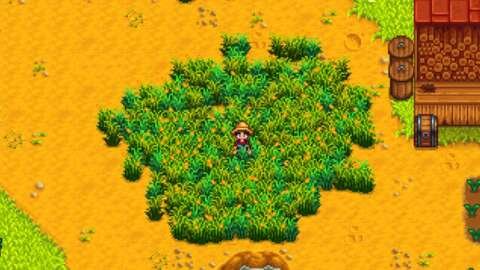 Stardew Valley'de Saman Nasıl Elde Edilir 2 stardew valleyde saman nasil elde edilir CPl9QNba