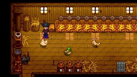 Stardew Valley'de Tavuklar Nasıl Beslenir 12 stardew valleyde tavuklar nasil beslenir NDG3vXWm