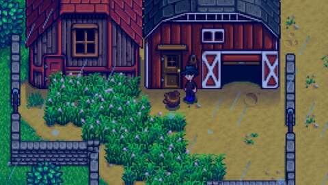 Stardew Valley'de Trüf Mantarı Nasıl Elde Edilir 29 stardew valleyde truf mantari nasil elde edilir Ly1q6Edb