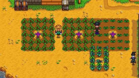 Stardew Valley'deki En İyi İlkbahar Mahsulleri 17 stardew valleydeki en iyi ilkbahar mahsulleri